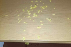 IMG-20251026-WA0002