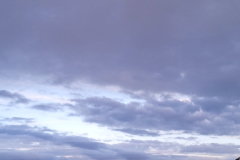 IMG-20250424-WA0077