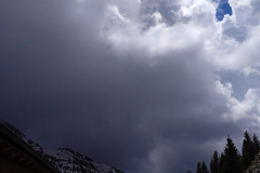 IMG_20250425_134636