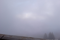IMG_20250425_193244_1