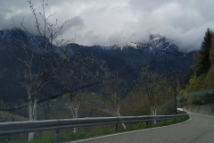 IMG_20250427_124044_1
